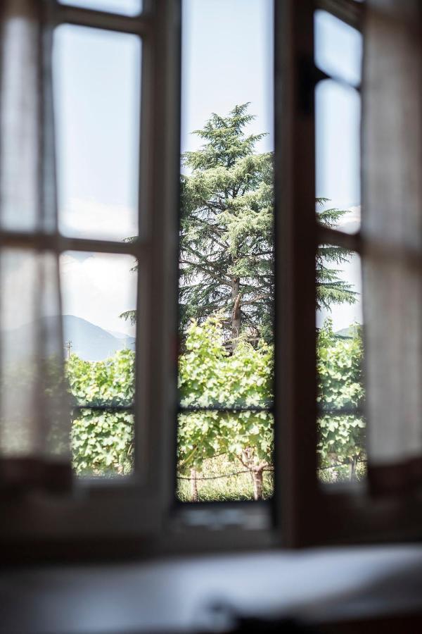 Appartement Weingut Kornell - Schafferhaus Cosmas Und Zeder à Terlano Extérieur photo